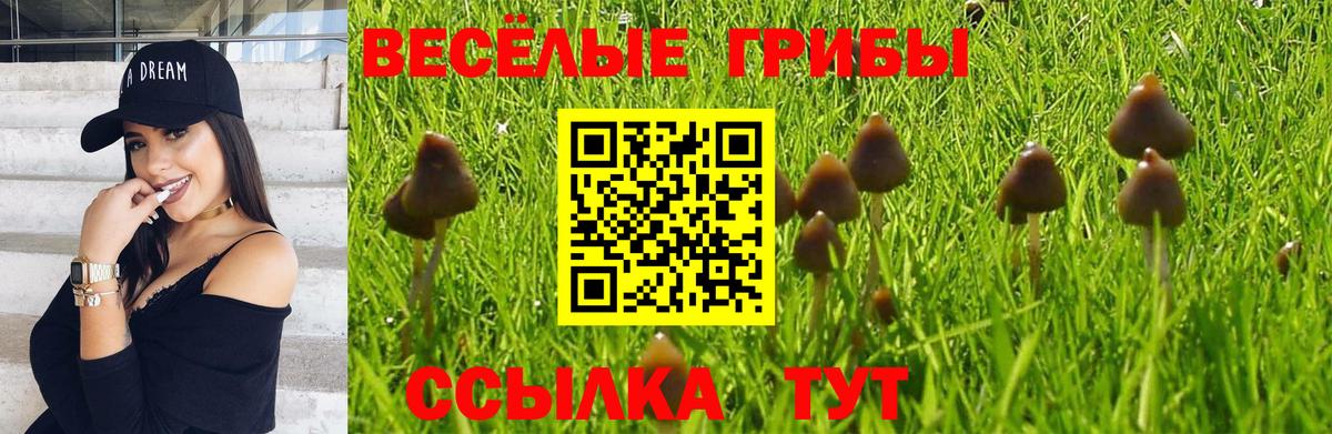Галлюциногенные грибы Psilocybine cubensis Лосино-Петровский